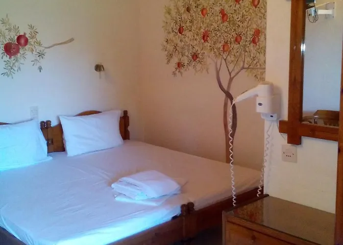 Pansion Matoula * Skiathos